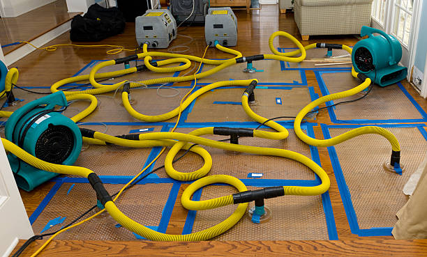 Professional Crawl Space Water Removal technician working in Hockley, TX